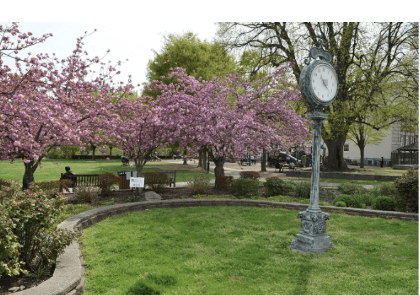 Blumenfeld Family Park